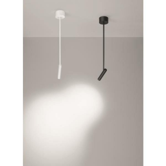 Brumberg LED-                   12307173 