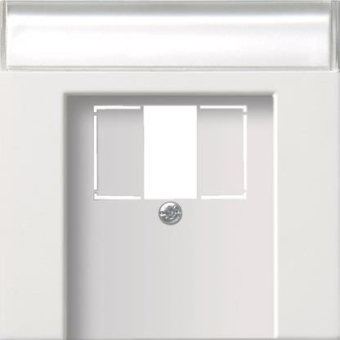 GIRA 0876112 Abdeckung+BSF TAE USB 