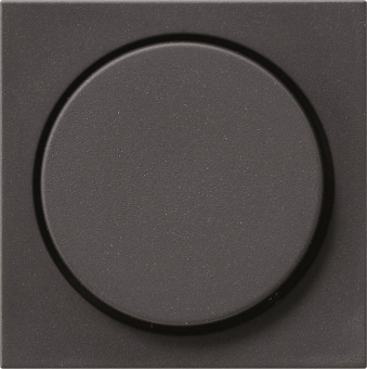 GIRA 065028 Abdeckung Knopf System 55 