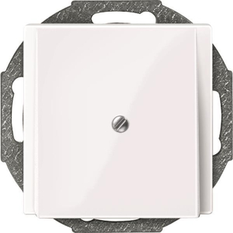 Merten Zentralplatte Leitungs-    296325 