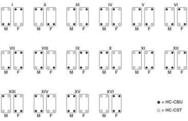 Phoenix 1636127 Kodierelement HC-CST-MOD 