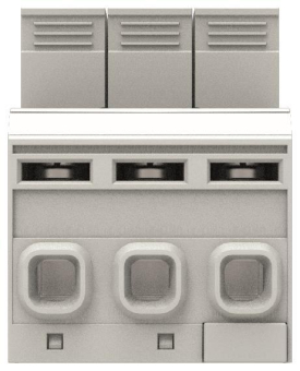 FUCHS Kombiableiter Typ 1+2 