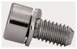 STRIE Zylinder-Schraube M6      ZX258P10 