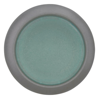 EATON M22S-DRL-G Leuchtdrucktaste 216949 