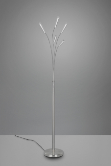 Trio LED-Stehleuchte REED, 5x  R41031507 