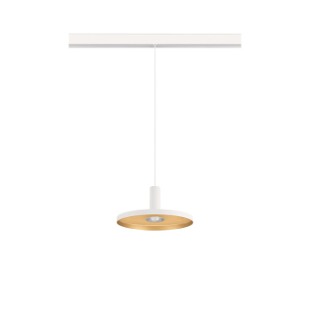 SLV LALU  PLATE 22,              1007546 