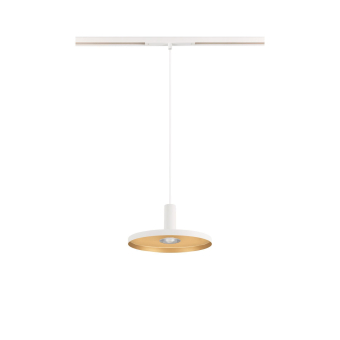 SLV LALU  PLATE 22,              1007546 