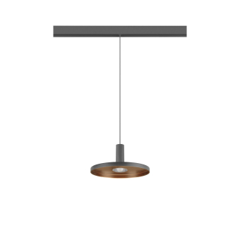 SLV LALU  PLATE 22,              1007547 