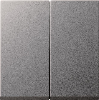 GIRA 029526 Wippe 2fach System 55 