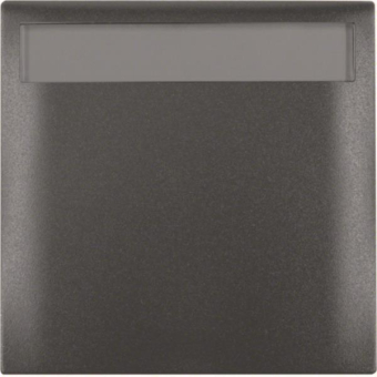 BER Integro Rahmen erh.Ber.0919882505 