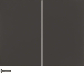 Berker KNX-Funk Taste 2fach     85146175 