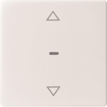 Berker Abdeckung f.Tastsensor   80961229 