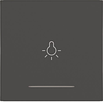 Hager Wippe 1f m.Aufdruck      WAW1032AT 