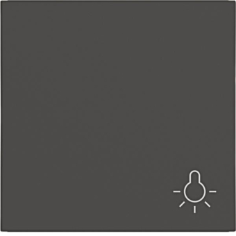 Hager Wippe 1fach m.Aufdruck   WAW1012AT 