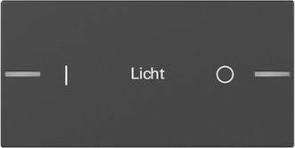 GIRA 8622005 Wippe Wippenset 2f 