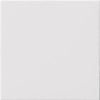 GIRA 810803 Blindabdeckung o.Tragring 