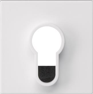 GIRA 866427 Abdeckung Schlüsselschalter 