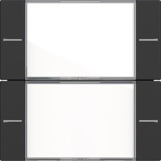 GIRA 5772005 Wippenset 2f BSF Tastsens.4 