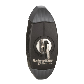 Schneider Knebelgriff     NSYAEDL2433S3D 