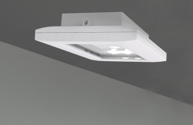 RP SI-Leuchte Decke EB+SC/8h   FMDS028SC 