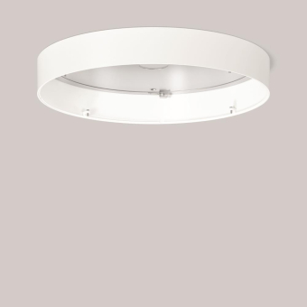 RZB D 470 H 68 Sichtfarbe: ws 982920.002 