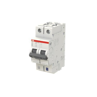 ABB Leitungsschutzschalter C  S401P-C2NP 
