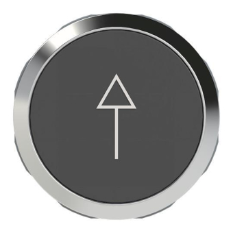 ABB Drucktaster schwarz Pfeil   MP9-1233 