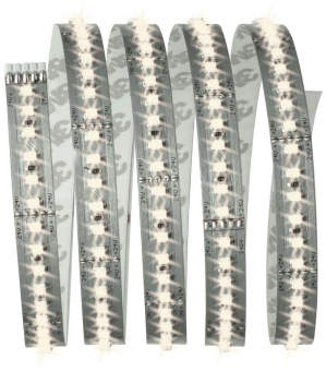 PAULM Function MaxLED 1000 Basiset 70585 