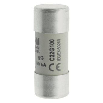 EATON Zylindersicherung 22x58    C22G100 