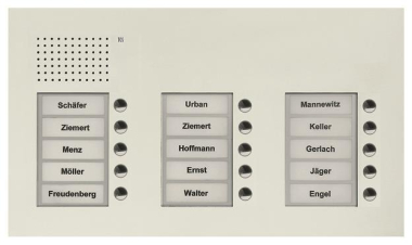 TCS Audio Außenstation        PUK15/3-WS 