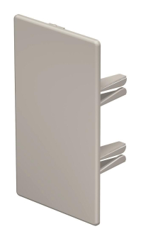 OBO WDK HE60110RW Endstück 60x110mm PVC 
