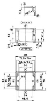 Bernstein Polyestergehäuse    4140000000 