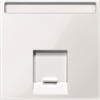 Merten Zentralplatte 1fach  MEG4573-0319 