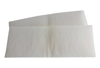 MAICO Ersatz-Luftfilter 2        WSG 250 