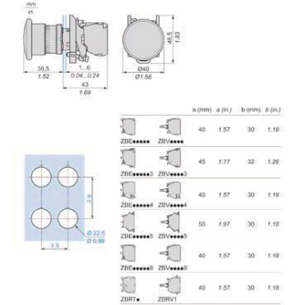 GS Pilzdrucktaste schwarz        XB4BC21 
