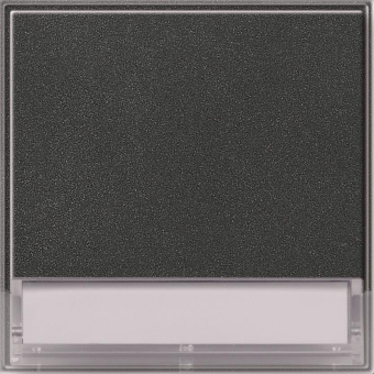 GIRA 067667 Wippe Beschriftungsfeld 