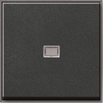 GIRA 029067 Wippe Kontrollfenster TX_44 