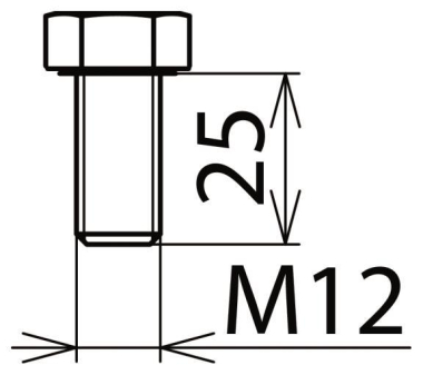 Dehn Sechskantschraube    SKS M12X25 V2A 