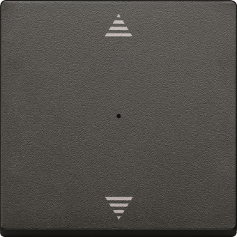 Merten Wippe f.Taster-Modul MEG5215-0414 