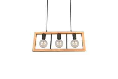 Trio Pendelleuchte AGRA 3x E27 313800332 