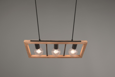 Trio Pendelleuchte AGRA 3x E27 313800332 