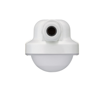 PHIL CoreLine FR-Leuchte IP65   36935899 