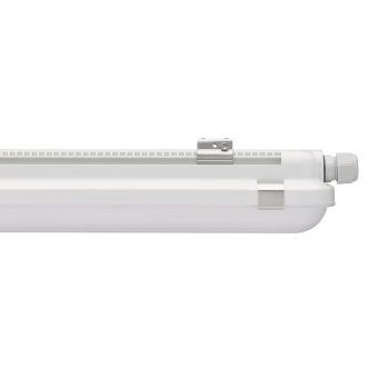 PHIL CoreLine FR-Leuchte IP65   36935899 