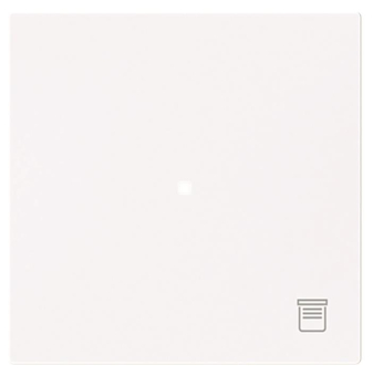 BJ Wippe 1-fach m.Symbol     6232-10-44G 