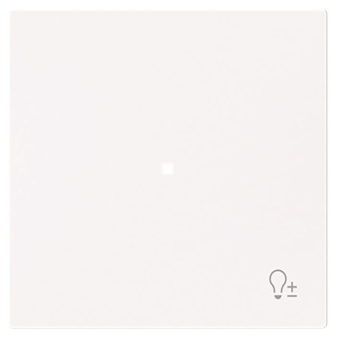 BJ Wippe 1-fach m.Symbol     6234-10-44G 