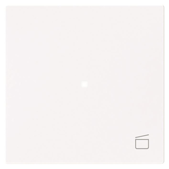 BJ Wippe 1-fach m.Symbol     6233-10-44G 