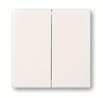 BJ FoH-Bedienelement 2fach   6736 FoH-84 