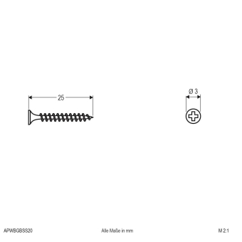 EVN Senkkopfschrauben 25 mm   APWBGBSS20 