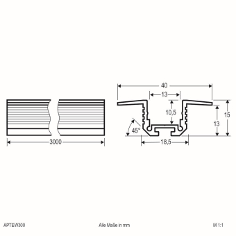 EVN T-Profil / Eck-Profil       APTEW300 