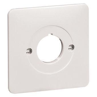 PEHA Zentralplatte r-ws      80.610.02 B 